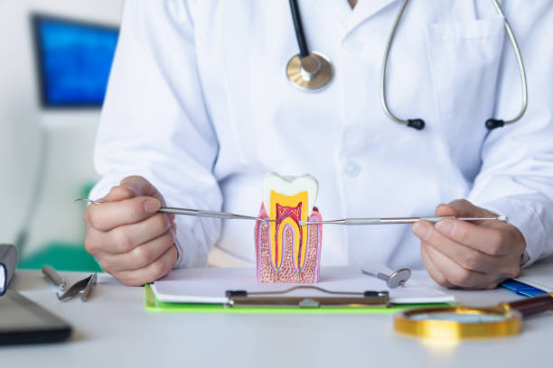 Best Emergency Treatment for Toothache in Little Falls, MN